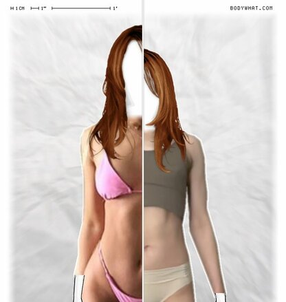 Torso Comparison