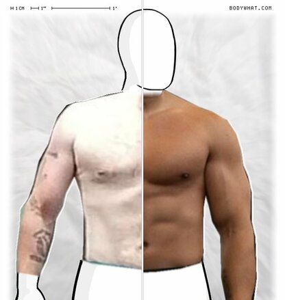 Torso Comparison