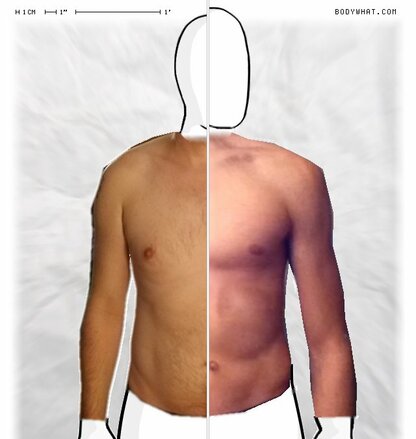 Torso Comparison