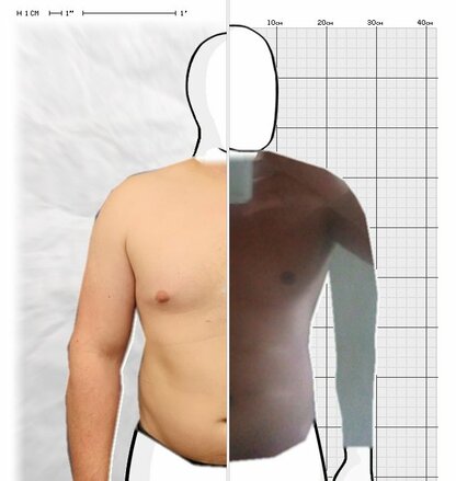 Torso Comparison