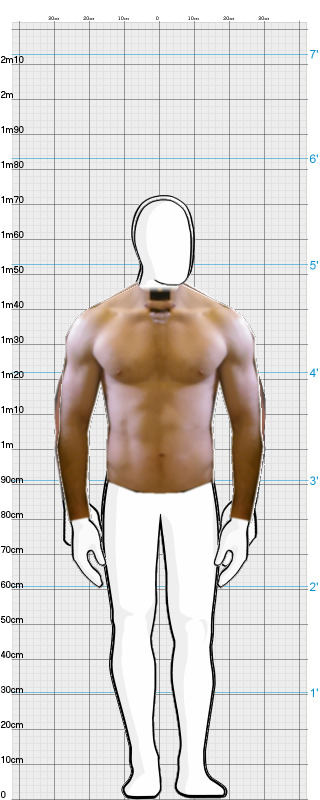 Full Size Comparison