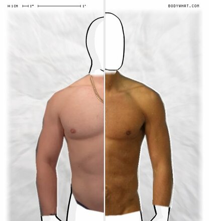 Torso Comparison