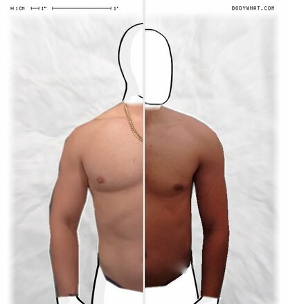 Torso Comparison