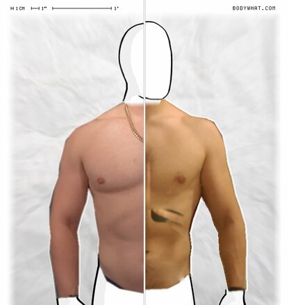 Torso Comparison