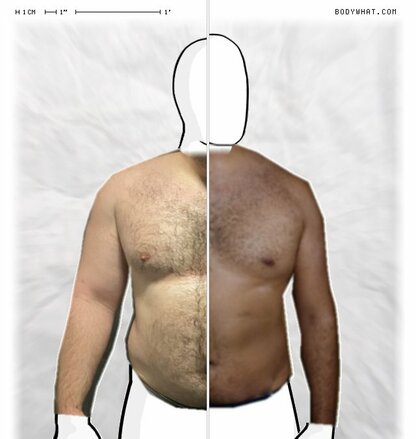 Torso Comparison