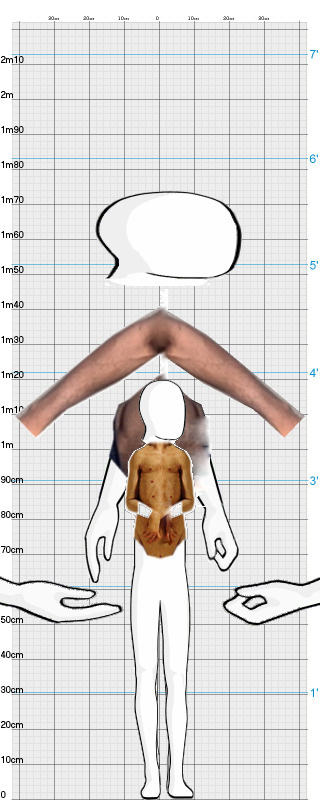 Full Size Comparison