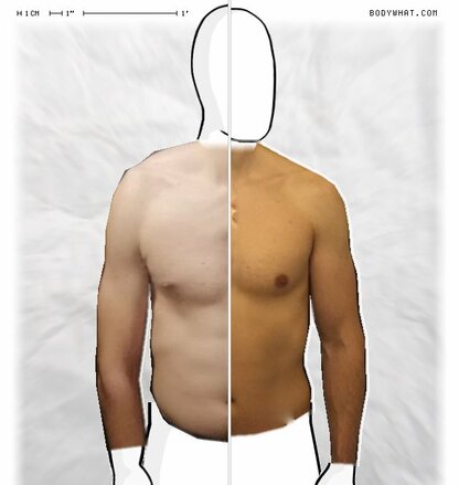 Torso Comparison