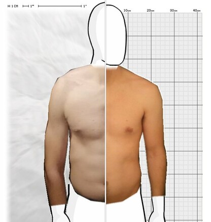 Torso Comparison