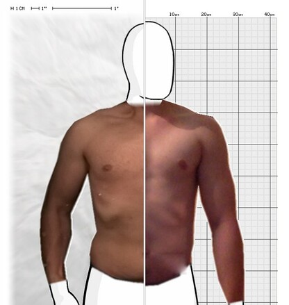 Torso Comparison