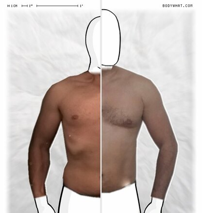 Torso Comparison