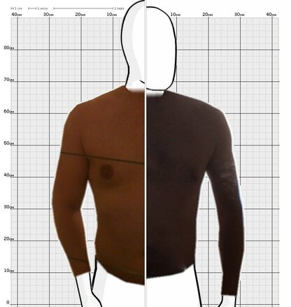 Torso Comparison