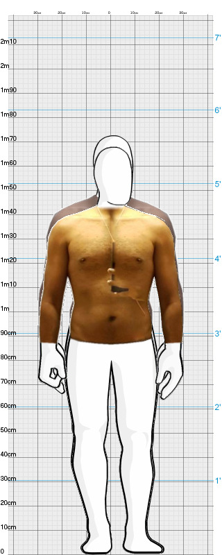 Full Size Comparison