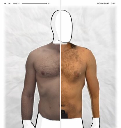 Torso Comparison