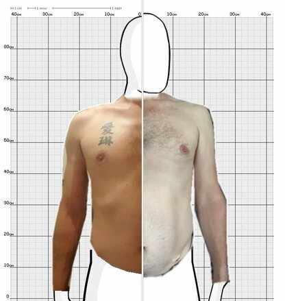 Torso Comparison