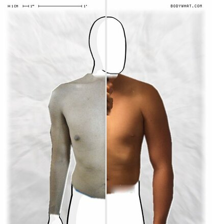 Torso Comparison