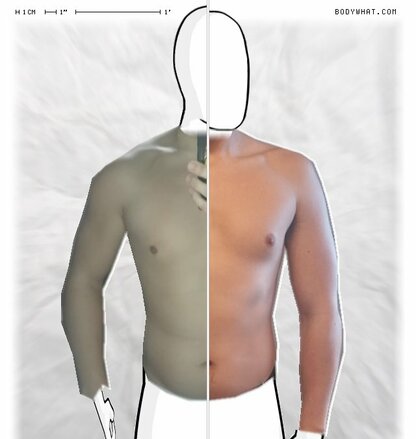 Torso Comparison