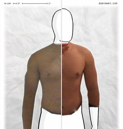 Torso Comparison