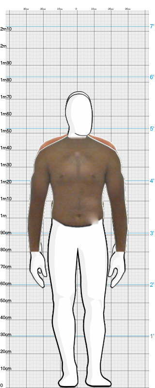 Full Size Comparison