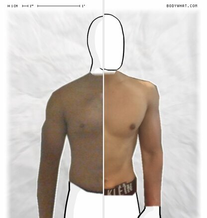 Torso Comparison