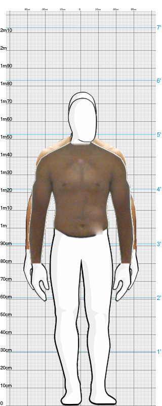 Full Size Comparison