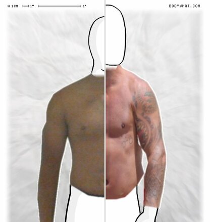Torso Comparison