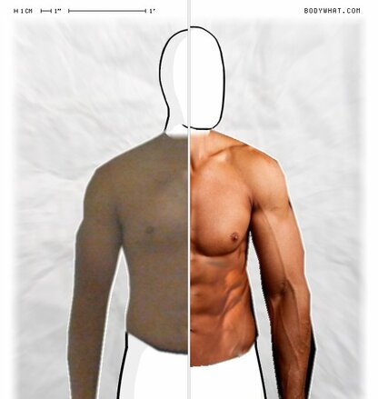 Torso Comparison