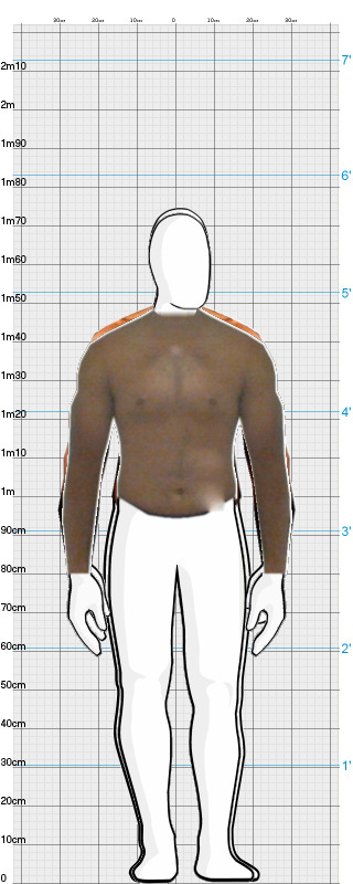 Full Size Comparison