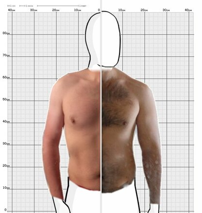 Torso Comparison