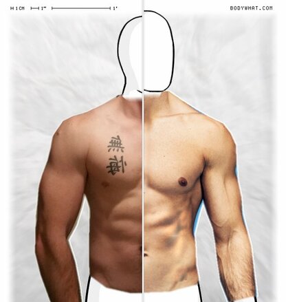 Torso Comparison