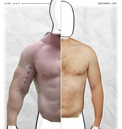 Torso Comparison
