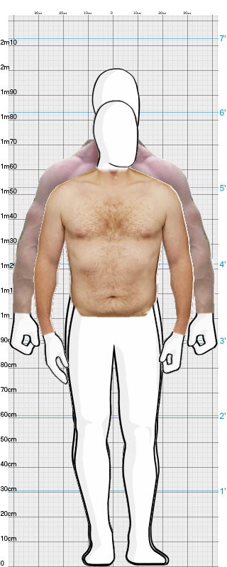 Full Size Comparison