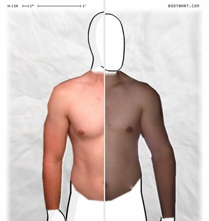 Torso Comparison