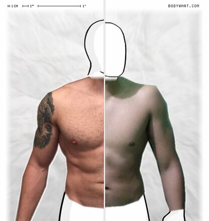 Torso Comparison