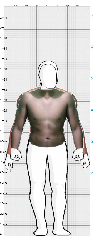 Full Size Comparison