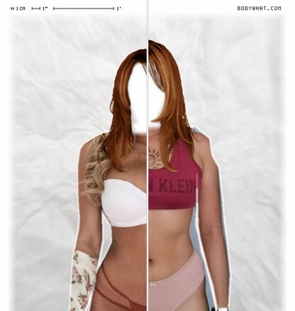 Torso Comparison