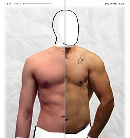 Torso Comparison
