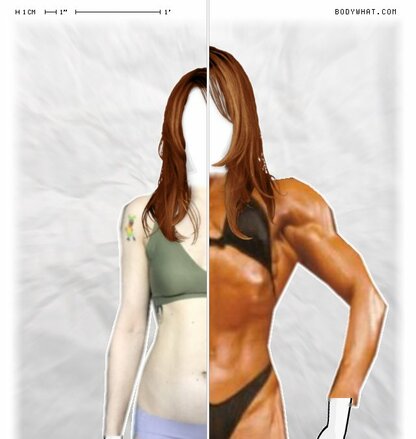 Torso Comparison