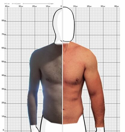 Torso Comparison