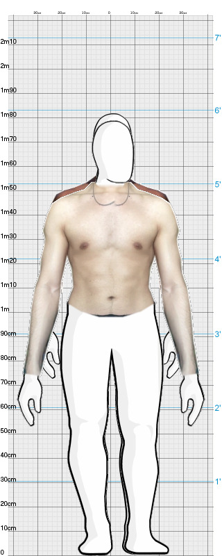 Full Size Comparison