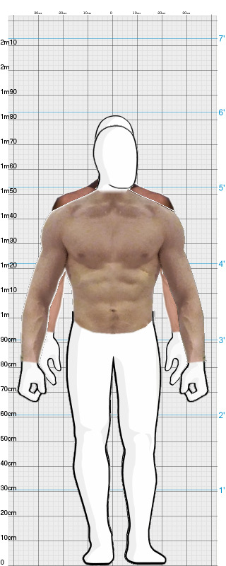 Full Size Comparison