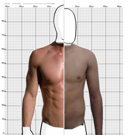 Torso Comparison