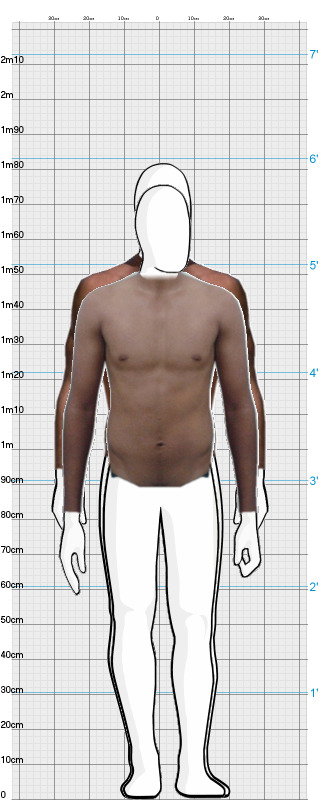 Full Size Comparison