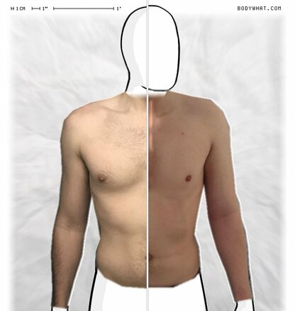 Torso Comparison