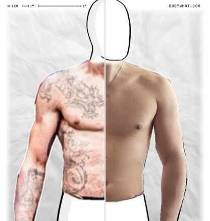 Torso Comparison