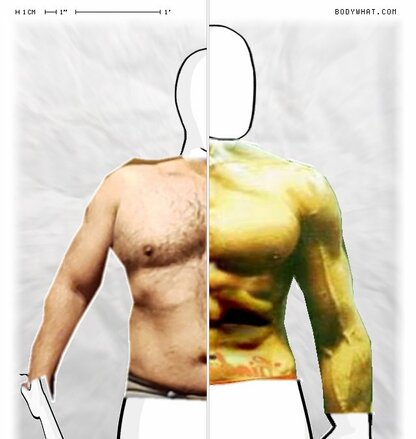 Torso Comparison