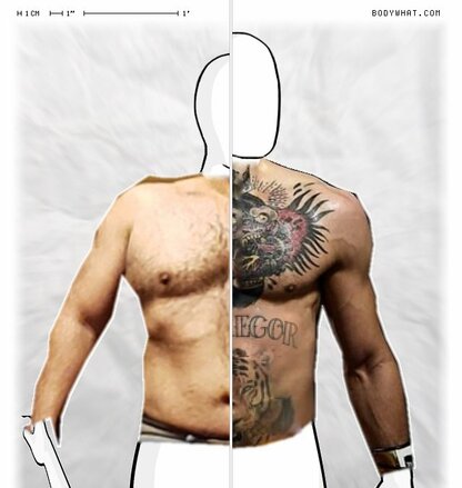 Torso Comparison