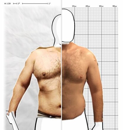 Torso Comparison