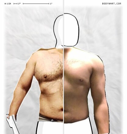 Torso Comparison