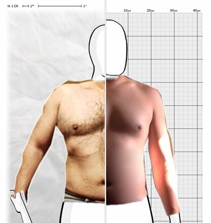 Torso Comparison