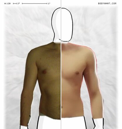 Torso Comparison